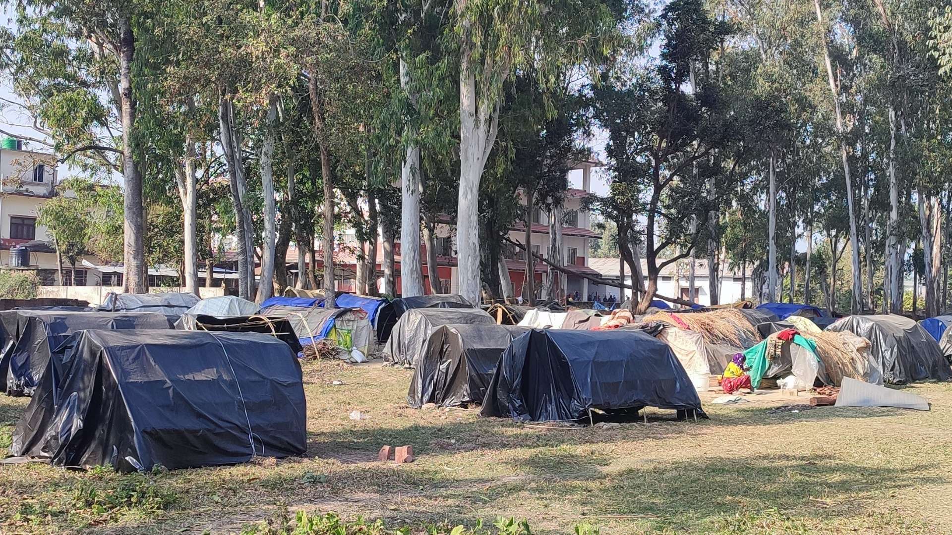 चुनावैपिच्छे वाचा, शुक्लाफाँटा आरक्ष विस्थापित २४ वर्षदेखि पुनःस्थापनाको पर्खाइमा