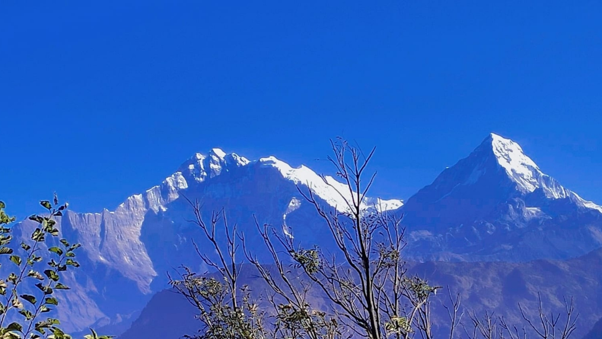 तस्बिर: रासस