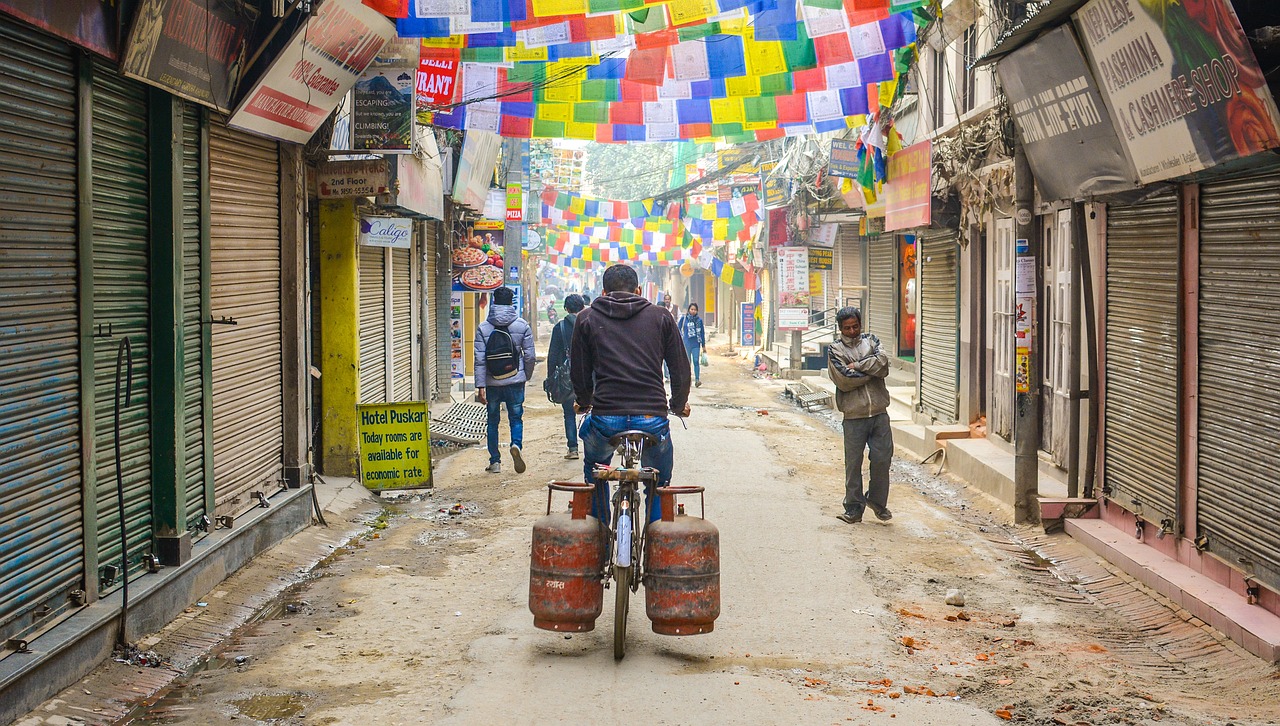 एलपी ग्यासको मूल्य निरन्तर बढिरहेको अवस्थामा खाना पकाउने विद्युतीय प्रविधिको विकल्प कति व्यवहारिक?