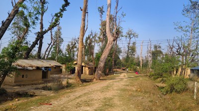 हरेक निर्वाचनमा लालपुर्जाको आश्वासन
