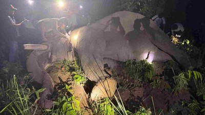 ‘ध्रुवे’लाई ‘रेडियो कलर’ जडान गरेर छाडियो