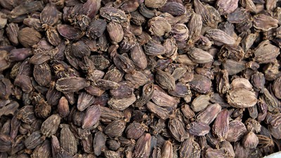 लमजुङमा अलैँची बिक्रीबाट २४ करोड आम्दानी